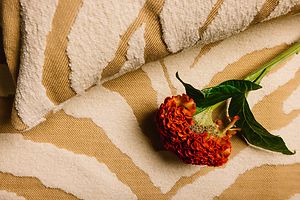 YOLO MUNDANE cushion